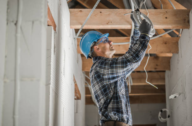 Best Electrician for Home Renovation  in Shorewood, IL