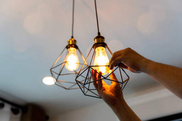 Best Residential Electrician Services  in Shorewood, IL
